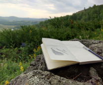 �������