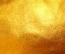 ��������� ���� 23