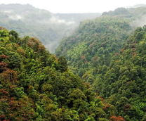 ��������� ��� �����