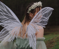 ������ ���