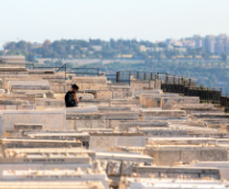 �������������