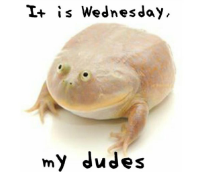 ��� ����� ��� ������