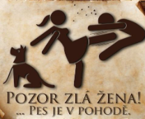 ������ ������ �����������