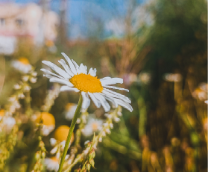 ����� �����������!