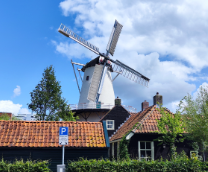 ����������