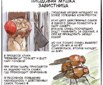 ����������� ������� ����� �������