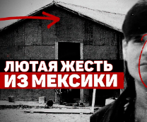 ���������� ���������������� ����� ������