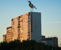 ����������� � ��������