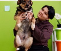 ��������� �������� ������ ������������ �������!