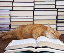 � ������