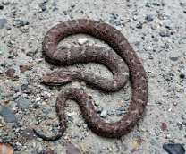 ��������������