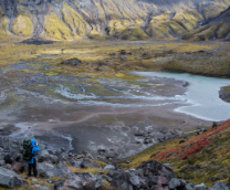 �����, ���� �������