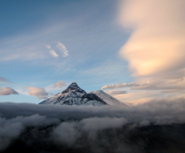 ��� �����������