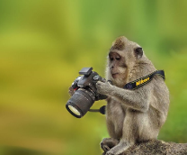 ��� �������� ��������