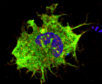 ������� ������������ � ������������� �����