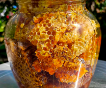 ���� ������������