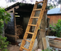 ������ ��� ��������