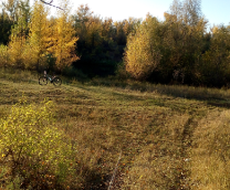 ��� ��������