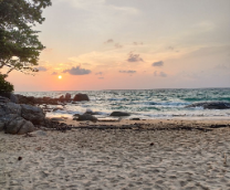 ��� ������