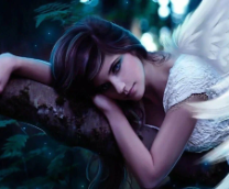 �����-���������