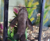 �������