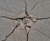 ������� � ���������� �� ����