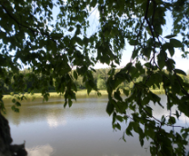 ����� � ����