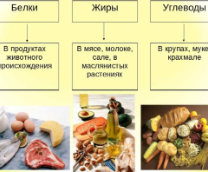 ����� ������