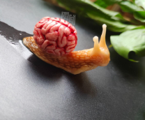 ���������/�������/���