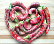 �����, �������� � �������