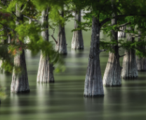 �������