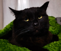 ��� ����� � ��� ������