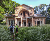 �����������