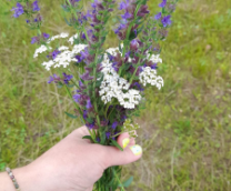 ��������� ����������� ����� 