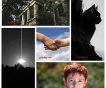 ������ ���