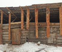 ������ ���������