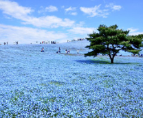 ������. ���������� �����