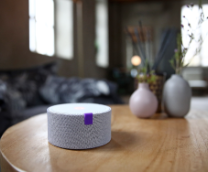 ��� ����� ���