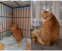 ������� �� ���� (829 ������ ����� ����� ���)