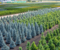 ������� ��������