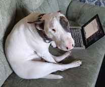 ������������