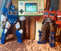 ��� �������