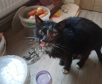 ������� ���� ������� ������� ����� ������