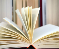 ������ ����