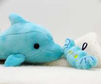 �������� ���� 