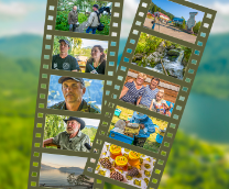 ���� �������������� ������� 