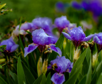 ���������������