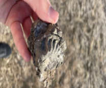 � ����� ������! ���������, ��� �� �� ��������