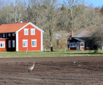 ��������� �������. ��������� � �������� ��������