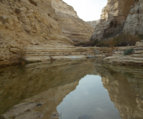 ������� � ������ �� ���